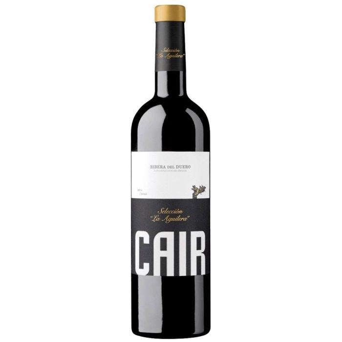 Cair Selección la Aguilera 2020
