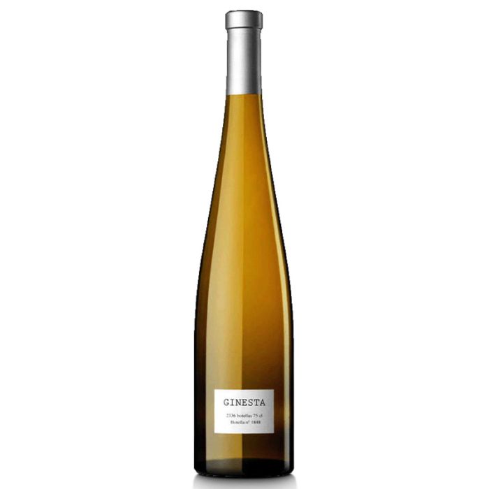 Parés Baltà Ginesta 2023