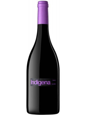 Parés Baltà Indigena Negra 2017 (Magnum)