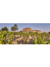 Amaren Malvasia 2021