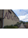 Avgvstvs Cabernet Sauvignon - Merlot 2021