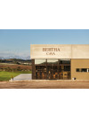 Bertha Lounge