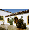 Fernando de Castilla Vermut