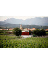 La Vinyeta Microvins Garnacha Roja Blanco 2020