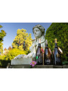 Pazo de Rubianes 1411 Ed. Limitada 2023