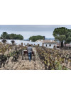 Raventós i Blanc de Nit Rosé 2022