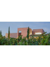 Signat Cava Brut