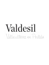 Valdesil Godello Sobre Lias 2023