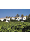 Viladellops Finca 3 Xarel.los 2023
