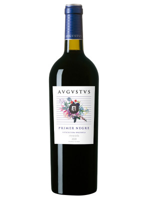 Avgvstvs Primer Negre 2019