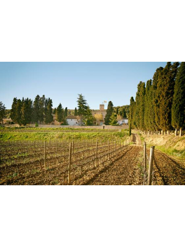Albet i Noya 3 Macabeus 2022