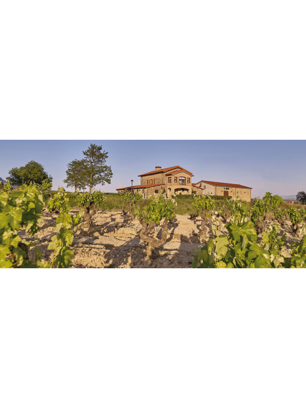 Amaren Malvasia 2021