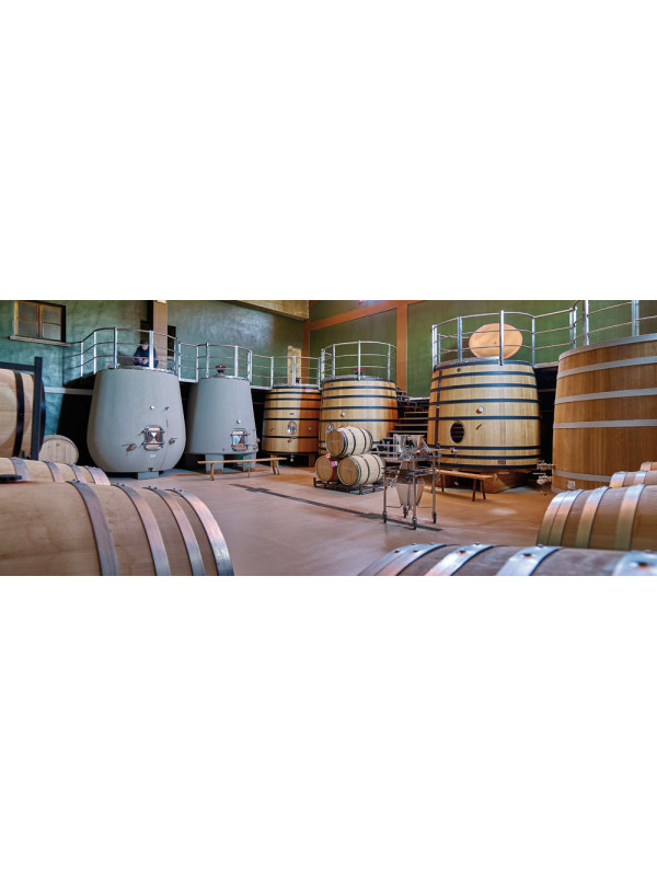 Amaren Malvasia 2021