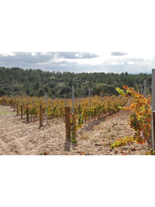 Bosque de Matasnos Tempranillo Malbec 2018