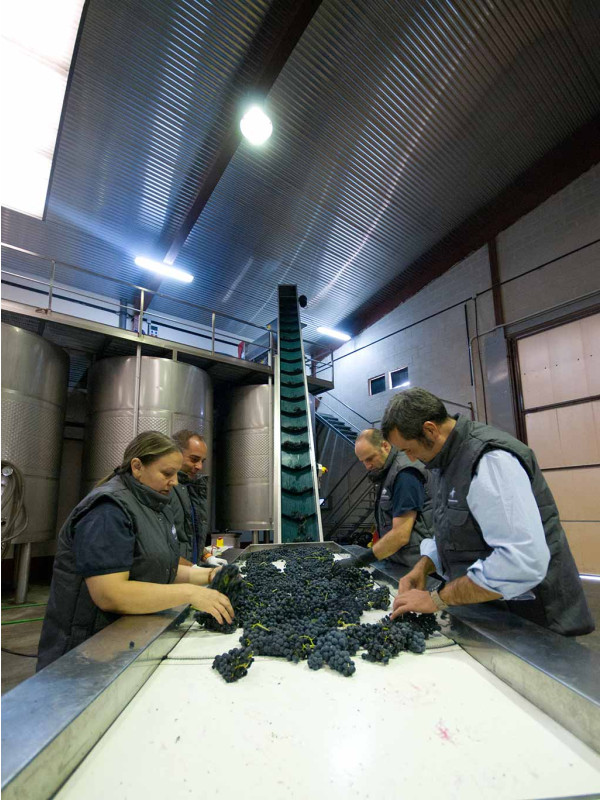 Bosque de Matasnos Tempranillo Malbec 2018