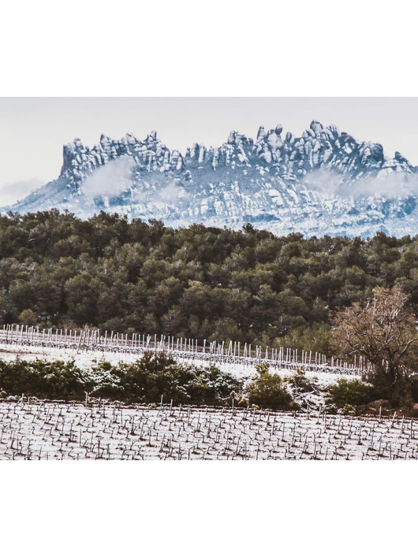 Can Feixes Blanc Tradició 2021