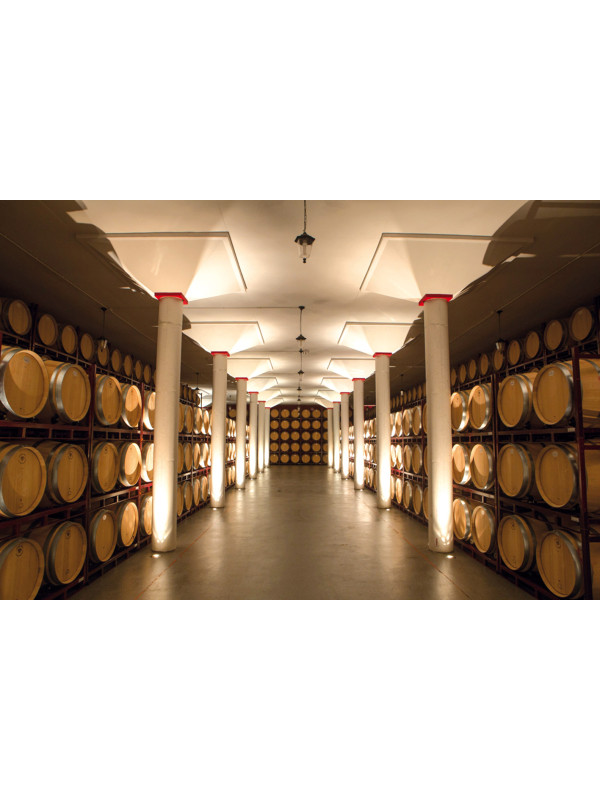 Carmelo Rodero Crianza 2021 (Magnum)