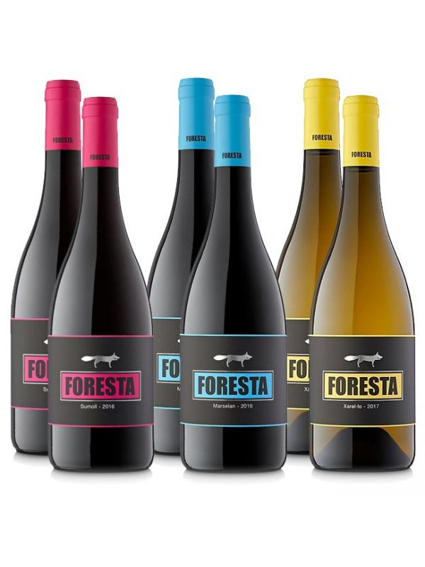 Foresta Turó de les Llebres 2021