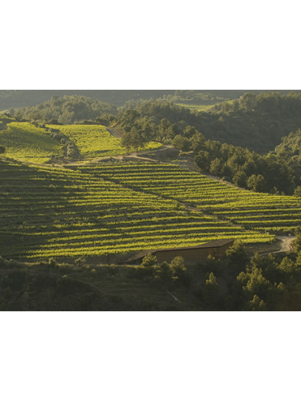 Gotes del Priorat 2023