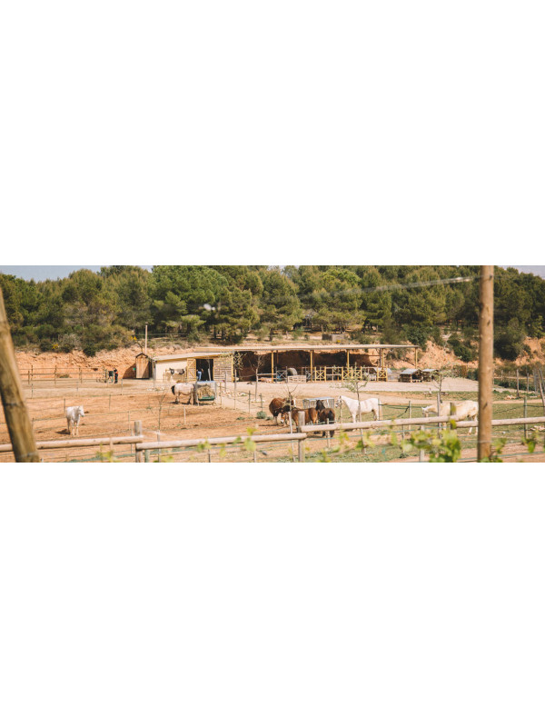 Gramona Gra A Gra Pinot Noir Dulce 2012