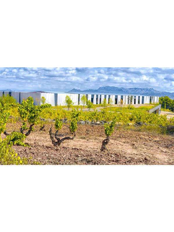 Herència Altés Garnatxa Negra 2023