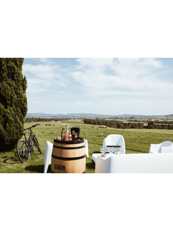 Jean Leon Vinya Le Havre Cab. Sauvignon R. 2017