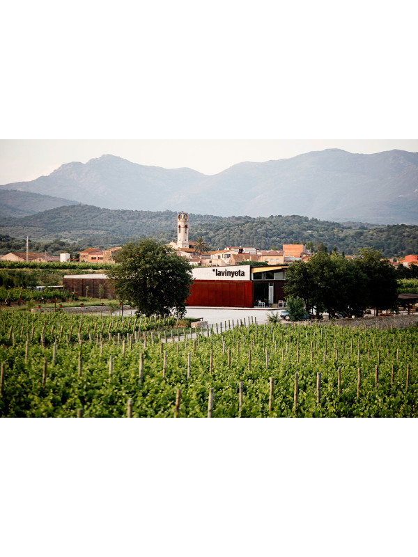 La Vinyeta Microvins Garnacha Roja Blanco 2020