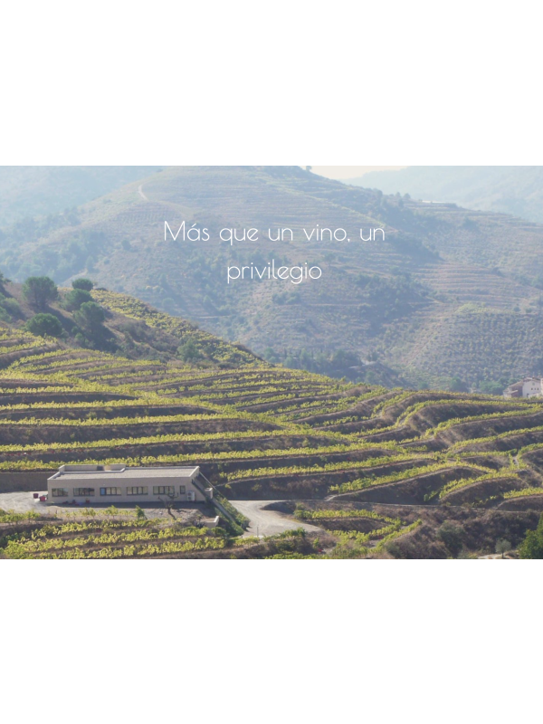 Marco Abella Loidana Blanc 2022