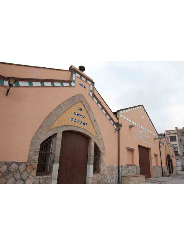 Masroig Les Sorts Vinyes Velles 2021