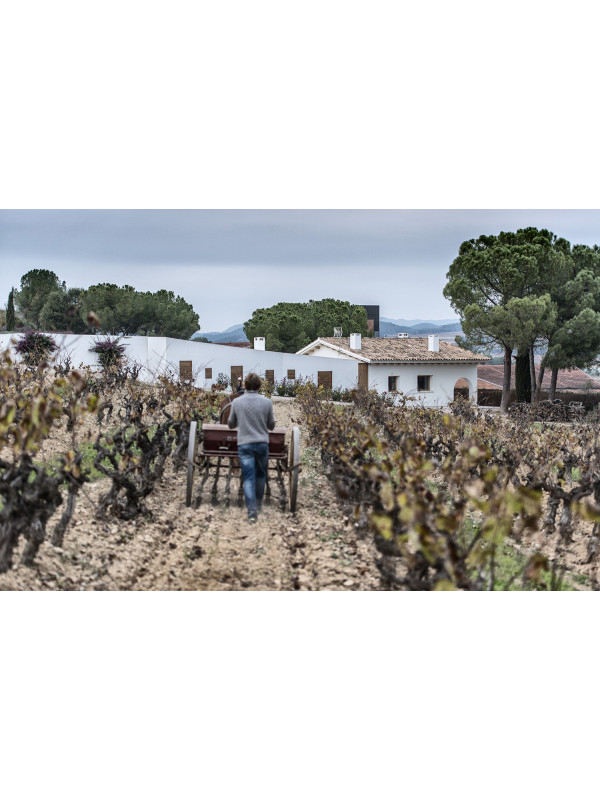 Raventós i Blanc de Nit Rosé 2022