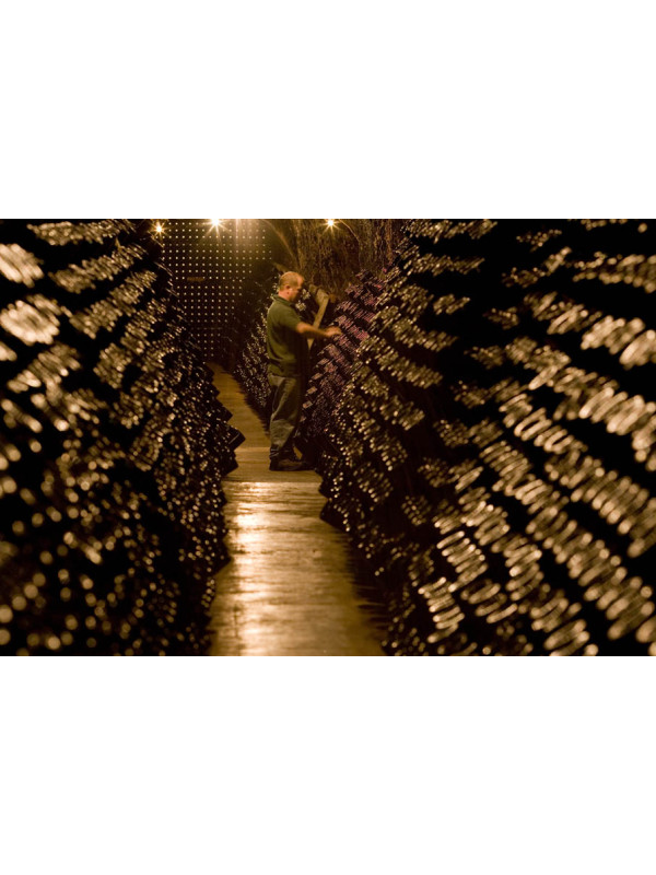Signat Cava Brut
