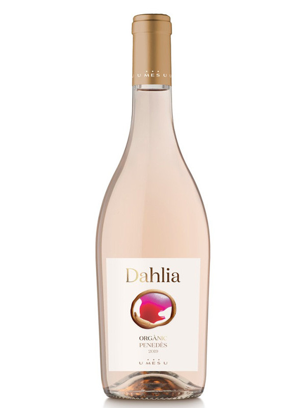 Vinos U mes U Dahlia 2024 (Magnum) 
