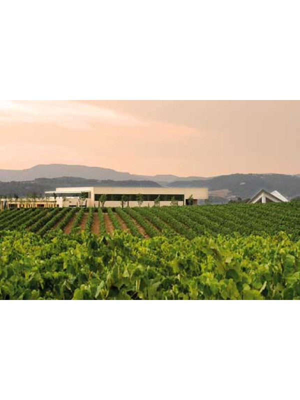 Vilarnau Brut Reserva Rosé Delicat Orgánico