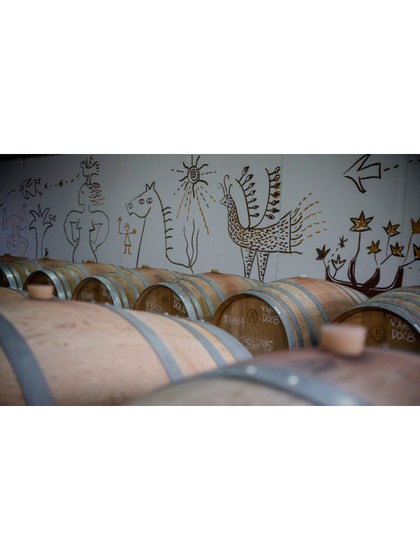 Vins de Pedra Blanc de Folls 2022