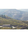 Marco Abella Mas Mallola 2020 (Magnum)