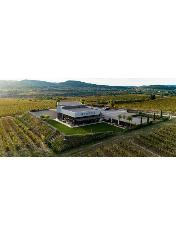 Bertha Segle XXI Gran Reserva 2009 (Magnum)
