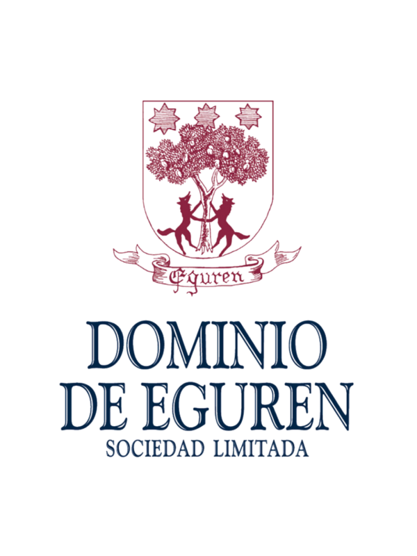Dominio de Eguren Protocolo Tinto 2022 ECO