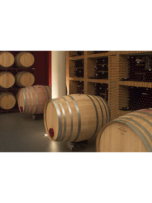 Francisco Barona Tinto 2023