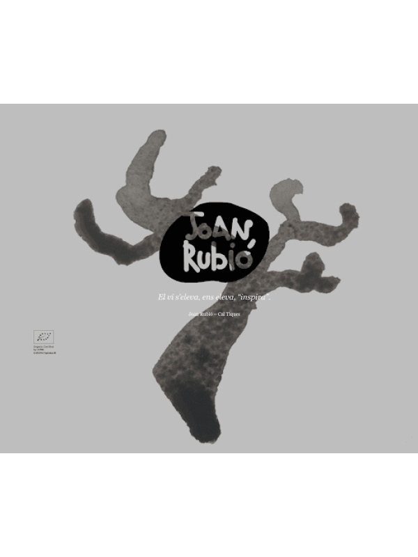 Joan Rubió Ull de Llebre