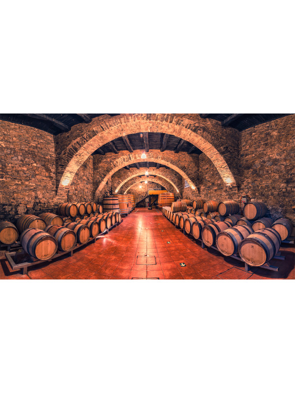 La Vizcaina el Rapolao Tinto 2021