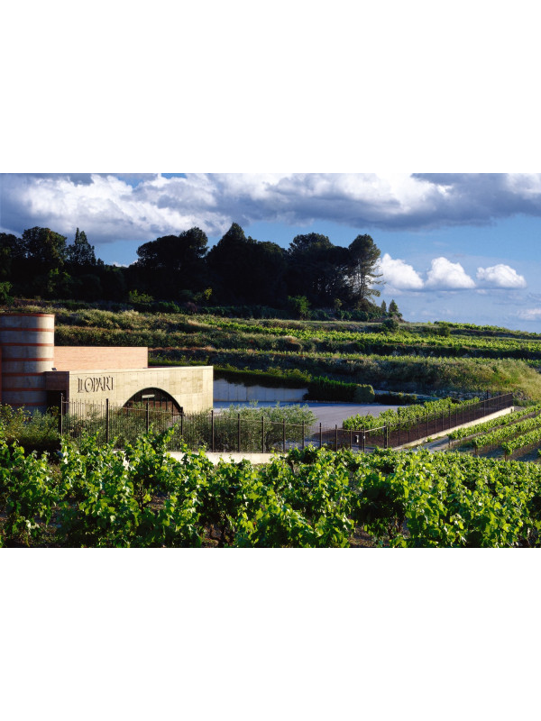 Llopart Integral Brut Nature Reserva