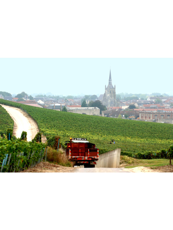 Louis Roederer Cristal 2015