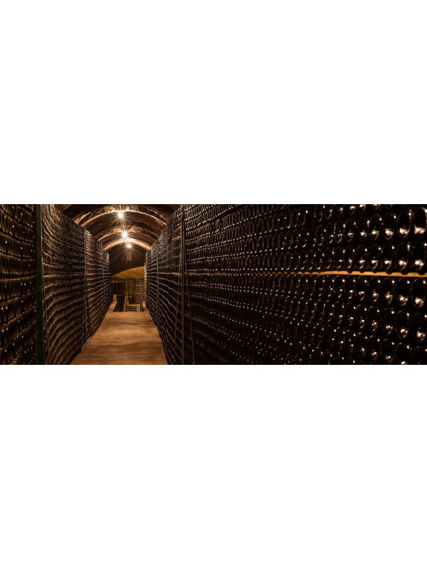 Recaredo Terrers Brut Nature Gran Reserva