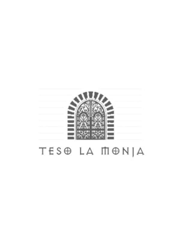 Teso La Monja Victorino 2019 (Magnum)