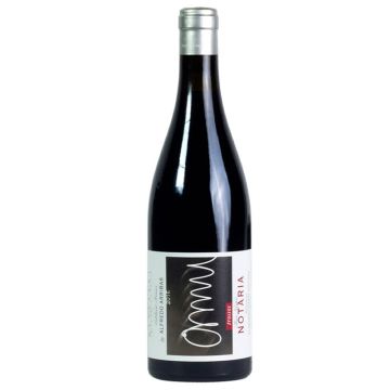 Alfredo Arribas Tros Negre 2009 Notaria (Magnum)