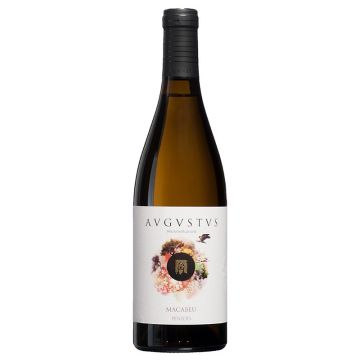 Avgvstvs Microvinificació Macabeu 2018
