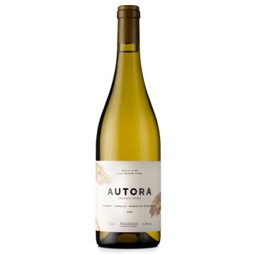 Cava Bertha Autora