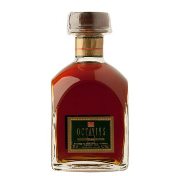 Brandy Octavius Estoig