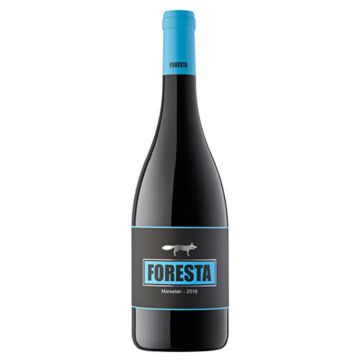 Foresta Marselan 2021