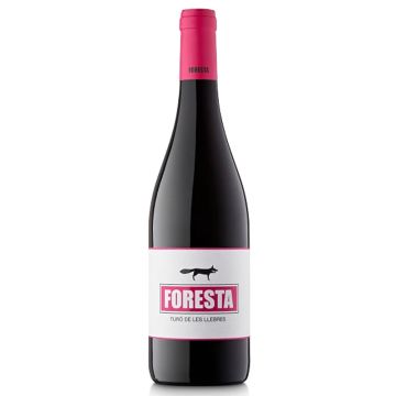 Foresta Turó de les Llebres 2021
